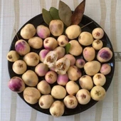 Meyve Verir Durumda Tüplü Beyaz Hambeles (Murt) Fidanı thumbnail 3