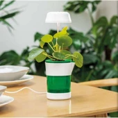 Hızlı Bitki Yetiştirme Saksısı thumbnail 3