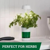 Hızlı Bitki Yetiştirme Saksısı thumbnail 5