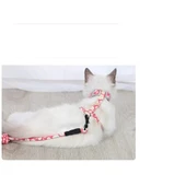 Kedi Gezdirme Göğüs Tasması - 2