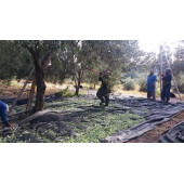 ZF75 SERGENLİK YAYGI EBATLI FİLE GÖLGELİK 4m x 10m - 4
