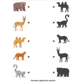 Zihin Geliştiren Dikkat Eğitim Seti (Okul Öncesi ve 1. Sınıflar İçin) - 9
