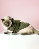 Greenco Bunny Kapsonlu Sweatshirt Kedi Elbisesi Süeteri Kedi Kıyafeti - 1