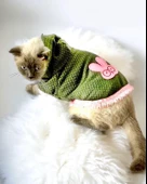 Greenco Bunny Kapsonlu Sweatshirt Kedi Elbisesi Süeteri Kedi Kıyafeti - 2
