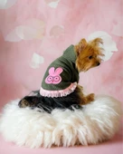 Greenco Bunny Kapşonlu Sweat Elbise by Kemique Köpek Kazağı - 1