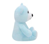 Ayı 20 cm Mavi Pelüş Ayı Çocuk Oyuncak - 3