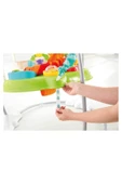 Fisher Price Yağmur Ormanı Jumperoo - 3
