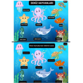 Okul Öncesi KES-YAPIŞTIR-YAZ-SİL Eğitim Seti (Laminasyonlu) - 3