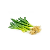 Bursa Tohum Bt Bursa Hotanlı 016 Pırasa 25Gr 3 Paket - 1