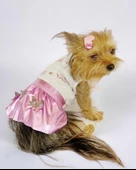 Yassi Glitz Köpek Elbisesi, Köpek Kıyafeti - 1