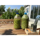 Kadıoğlu C2 Zeytin Kırma Aleti - 5