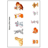 Okul Öncesi Eşleştirme Eğitim Seti (2 Kitap) - 3