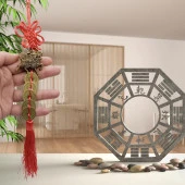 Çin Feng Shui Şans ve Bereket Beşli Para Dragon 35 cm thumbnail 3