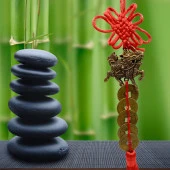 Çin Feng Shui Şans ve Bereket Beşli Para Dragon 35 cm thumbnail 5