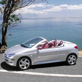 Peugeot 206 CC 2001-2006 Cam Suyu Deposunun Kapağı Fiskiye Kapak - 2