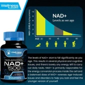 Wellnees Labs NAD + Resveratrol 1500 mg 90 Kapsül - 4