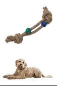 Diş Kaşıma İpi Köpek Oyuncağı Diş Güçlendirme Temizleme İpi Köpek Oyun Halatı (4401) - 3