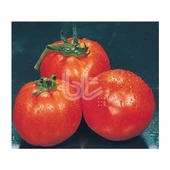 Bursa Tohum Falcon Domates 25 Gr 2 Paket - 1