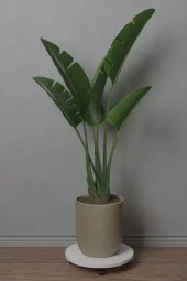 Mokaparkavm Berak Sebil Altlıgı Saksı Altlıgı - 1