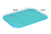 Lux Kedi Kumu Toplama Paspası 60*45 cm* - 2