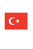 Türk Bayrağı 10 Adet Büyük Boy A4 Kum Boyama Kartı Seti-Red Castle KB-RC-105 - 2