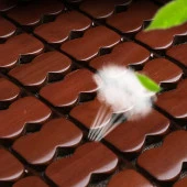 Coofbe Bambu Nefes Alabilen Terlemez Oto Araç Koltuk Minderi Kaymaz Tabanlı Araç Koltuk Minderi - 4