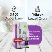 CatPlus Düşük Tahıllı Hipoalerjenik Tavuklu Hamsili Kısırlaştırılmış Kedi Maması 1,5 Kg - 3