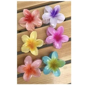 Kadın Büyük Boy 6'Lı (8cm) Renkli Lotus Çiçeği Kadın Toka Seti - 2