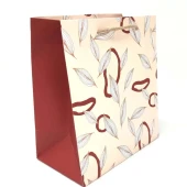 Gıpta B4 Terra Karton Çanta 215x120x240mm BG9445 - 1