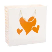 Gıpta Floral B5 Karton Çanta BG65800 - 1