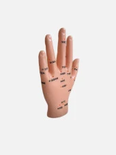 El Maketi Akupunktur Noktaları TGNR-835 - 1