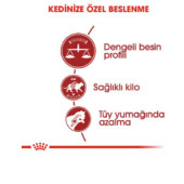 Royal Canin Fit 32 Kuru Kedi Maması 4 kg - 3