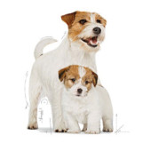 Royal Canin Mini Starter Mother & Babydog Kuru Köpek Maması 4 kg - 2