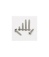 Akdeniz Sunta Vidası 4 x 50 Sunta Vidası-5 cm Vida-50 Adet - 1