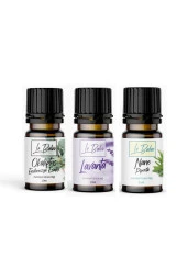 LE BALVO Okaliptus,Lavanta,Nane Doğal Uçucu Saf Buhurdanlık Esansı Oda Kokusu Esans Buhur Yağı 10ml - 1