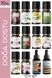 LE BALVO 12'li Set Uçucu Yağ Buhurdanlık Esansı Oda Kokusu Esansiyel Yağ Oda Difüzörü Esansı Buhur Yağı 10ml - 1