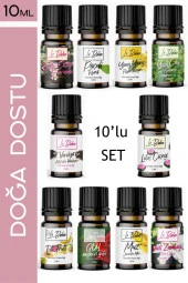 LE BALVO 10'lu Set Uçucu Yağ Buhurdanlık Esansı Oda Kokusu Esansiyel Yağ Oda Difüzörü Esansı Buhur Yağı 10ml - 1