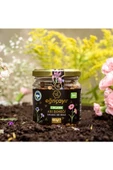 Organik Arı Ekmeği (perga) 100 G - 1