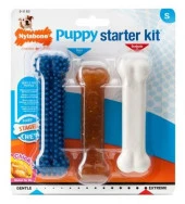 Nylabone Tavuk Aromalı Yavru Köpek Başlangıç Kiti S - 1