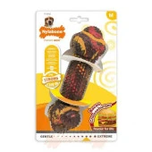 Nylabone Domuz Pastırması ve Cheeseburger Aromalı Köpek Çiğneme Kemiği M - 1