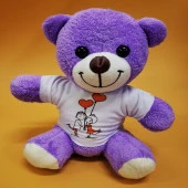 Tişörtlü Peluş Oyuncak Ayı - 1