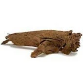 Mangrov Kökü Akvaryum Mango Kökü 15-20 Cm thumbnail 4