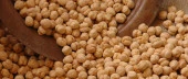 Yazar Kuruyemiş Sarı Leblebi  1 Kg - 2