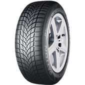 Dayton DW510E 205/55R16 91H (Kış) (2024) - 2