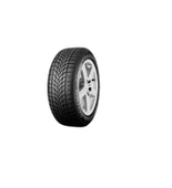 Dayton DW510E 205/55R16 91H (Kış) (2024) - 1