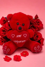 PELUŞ Sevimli Ayıcık Kalpli 35cm - 4