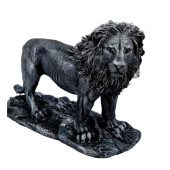 ASLAN BİBLO HF248-5 - 1