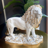 ASLAN BİBLO HF248-6 thumbnail 2