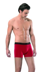 321 Boxer thumbnail 1