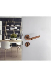 Hanedan Çizgili Rozetli Antik Sarı Yale Kapı Kolu Sol Aşağı Basar Tek Yön thumbnail 2